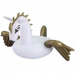 Comfortpool pegasus